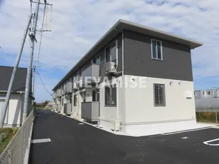 Y フィールドの画像