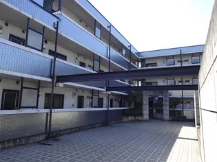 フロムファーストの画像