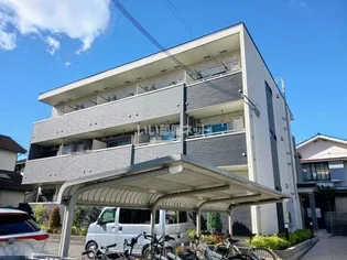 アンザオウの画像