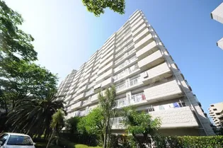 サンパセオ新柏D号館の画像