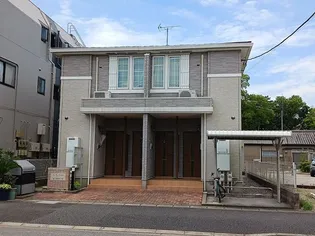 バルキー フォレストの画像