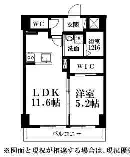 ルーヴル田町【6階】の間取り