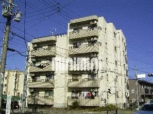 ハイマァトの画像