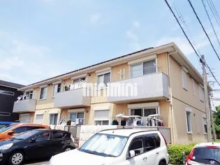 ゼファー新海の画像