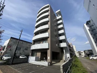 ナッツSPIRIT3の画像