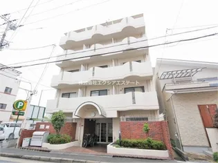 サンライズセイケの画像