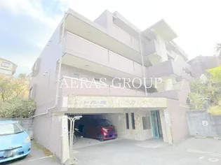 スターダスト晴貞の画像