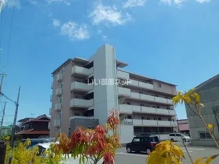 セレッソ フィールドIIIの画像