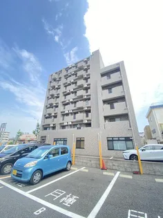 ソアレシバタの画像