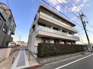 セリシールの画像