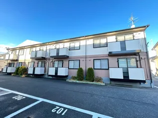 セジュールゼラニュームの画像