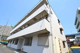 フィカーサ25の画像