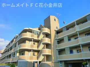 グリーンヒルズの画像