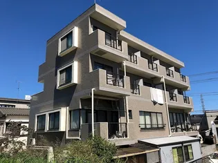ハイムエリカの画像