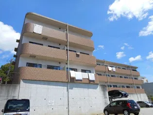 兵庫県宝塚市平井山荘【マンション】の外観