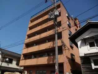 十一屋ブラウンシュガービル【6階】の外観