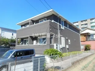 K Nコンプレーション Ⅲの画像