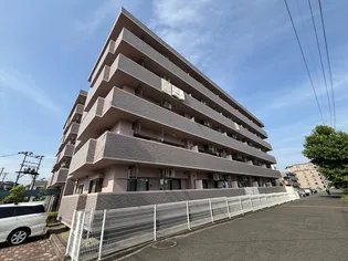 アイーラ渡辺の画像