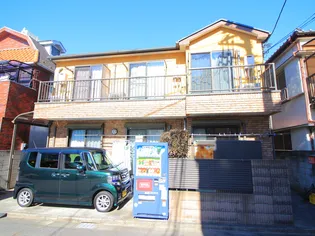 グレースツガの画像