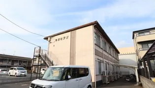 ネオピアザの画像