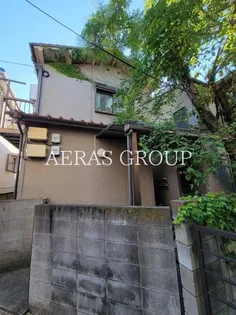 サンフラワーの画像