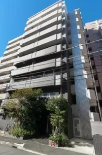 Y&ELFの画像