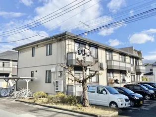 カメリアAの画像