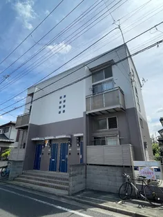 シエロの画像