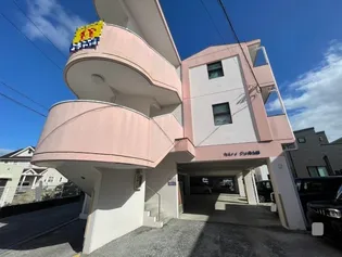 カスティージョ真玉橋【3階】の外観