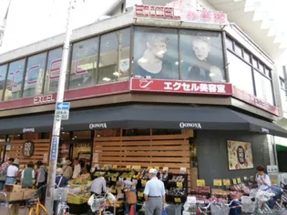 大京ハイム【1階】の周辺