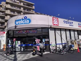 ラミアカーサお花茶屋【1階】の周辺