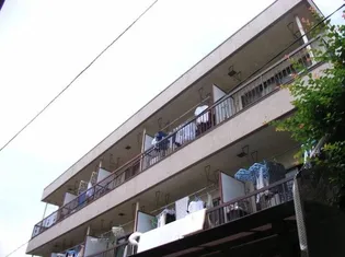 文化ハイツの画像