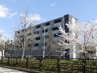 STRUCTURE鴨川紫明【4階】の外観