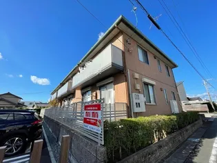 センスリッツAの画像