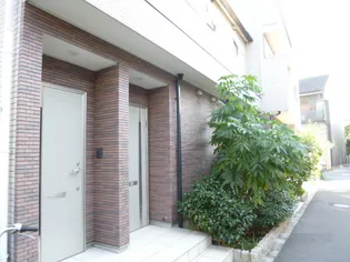 プリムローズの画像