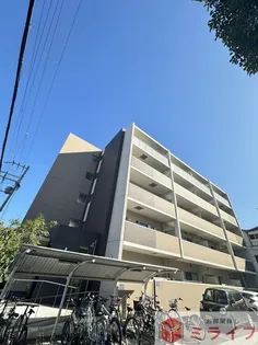 ロンド エーデルワイスの画像