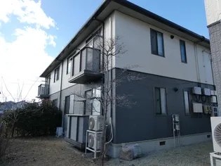 コーラルタウンDの画像