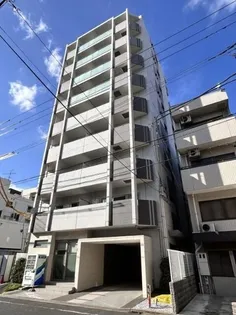 TSIIの画像