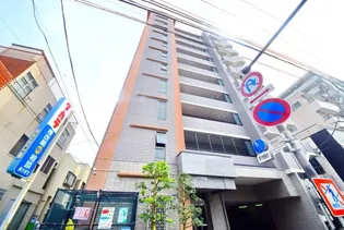 B PERSIMMONの画像