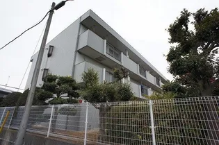CHERRY BLOSSAMの画像