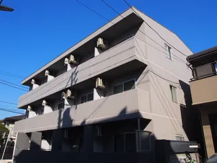 ハイポートフォレストの画像