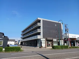 プラシードの画像