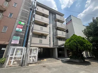 チェリーブロッサムの画像