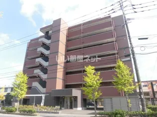TNRの画像