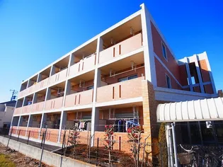 REGINA CONTEの画像