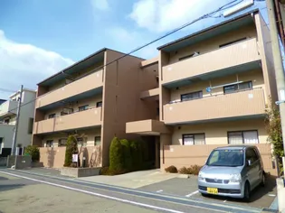 兵庫県西宮市甲子園口5【マンション】の外観