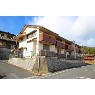 サニーダイガの画像