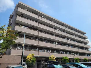 エバーグリーンコートの画像