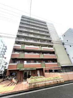 ライジングプレイス石川町【7階】の外観