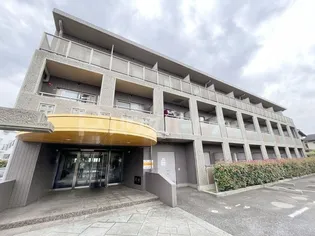 カーサベルデの画像